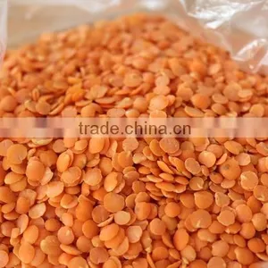 Best Quality DRIED Green Lentils | Red Lentils | Brown Lentils thumbnail-4