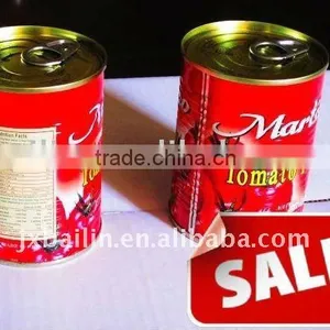 425g Canned Tomato Puree With Brix 28%~30% thumbnail-1