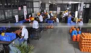 Cair Euromatic Automation Pvt. Ltd. company overview - view 1 thumbnail