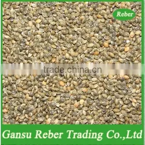 Green Broomcorn Millet thumbnail-1
