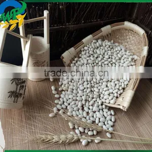 Chinese White Kidney Beans (japanese Type) thumbnail-1