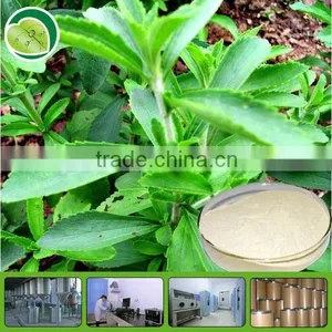 High Quality Stevia Extract Powder thumbnail-1