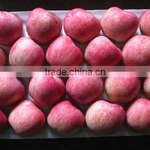 2012 Fuji Apple Price thumbnail-1