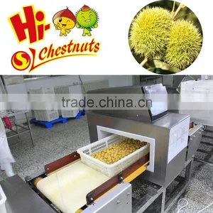 Quicking Freeze Peeled Chestnuts--the Best Quality Frozen Chestnuts thumbnail-2