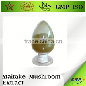 Best Business Buy Maitake Mushroom Powder thumbnail-2