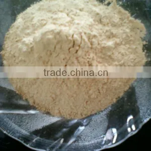 DEHYDRATED GARLIC POWDER thumbnail-1