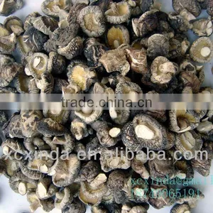 Dried Tea Flower Mushroom thumbnail-1