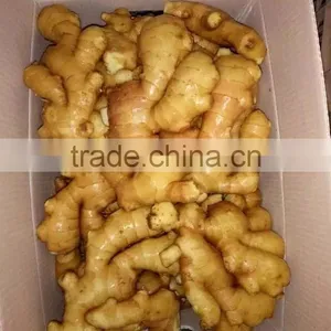 Ginger Root Price thumbnail-1