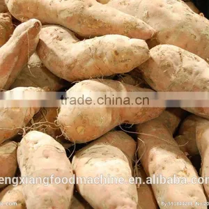 New Condition FC-307 Fresh Sweet Potato Grinding Machine thumbnail-4