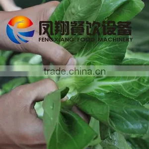 Automatic Small Size 220V Hotel Vegetable and Fruit Washing Machine With Good Price thumbnail-5