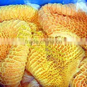 Cow Tripe Washing Machine/OX Tripe Washing Machine thumbnail-6
