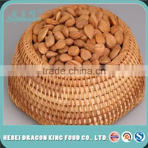 Apricot -Apricot Nuts - Raw Bitter and Sweet Kernels, Apricot Kernel From Own Factory thumbnail-3