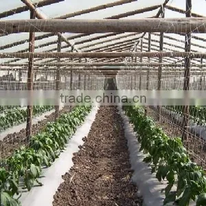 PE Plant Support Net Support Crops Clambing Mesh Net thumbnail-4