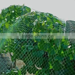 Euro Style Extruded Plastic Netting thumbnail-1