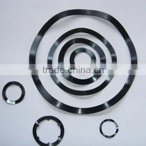 Spring Washer thumbnail-1