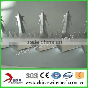 Barbed Nails /Wall Splikes/ Security Spikes (factory ) thumbnail-2