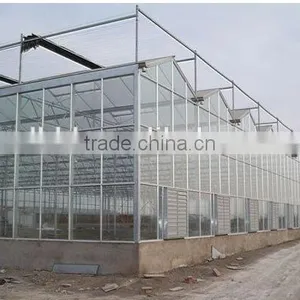 Multi-span Glass Tunnel Greenhouse thumbnail-4