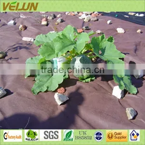 100%PP Spunbond Nonwoven 3% Anti-U/V Landscape Cover thumbnail-1