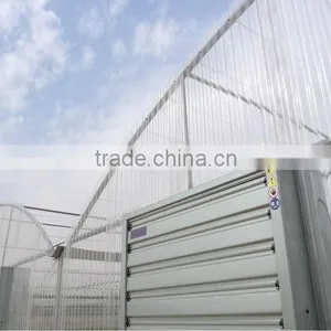 Polycarbonate Greenhouse (Valuview ROMA) thumbnail-1