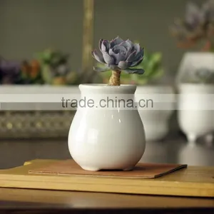 Attractive Indoor Glazed White Ceramic Small Flower Pots thumbnail-2