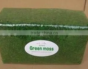 SJ1401101 Guangzhou Shengjie Wholesale Decorative Artificial Moss Product thumbnail-6