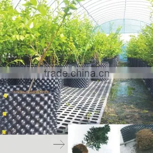 Plastic Root Control Container/pot for Garden Tools thumbnail-5
