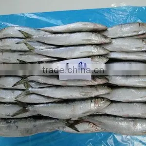 Smoked Sardine thumbnail-1