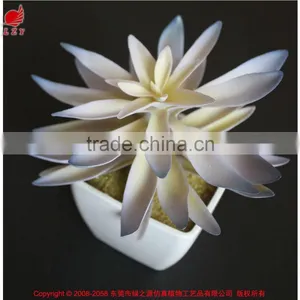 Hot Sale Artificial Potted Plants Chinese Succulent Plants thumbnail-1