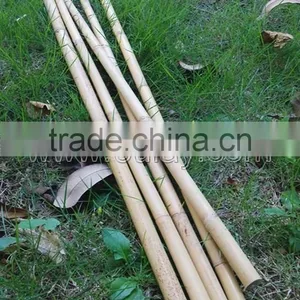 Hollow Guadua Bamboo Poles Can be Split thumbnail-4