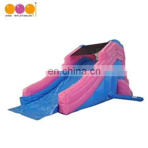 Kids Mini Used Commercial Wet and Dry Inflatable Slide for Sale thumbnail-1