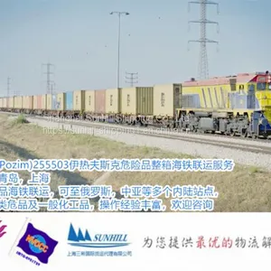Shanghai to Pozim 255503 Izhevsk Container Freight of Dangerous Cargo Sea Rail Freight thumbnail-2