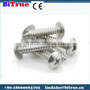 China Manufacturers Torx Pan Head Screw thumbnail-1