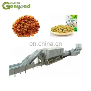 Raisin Processing Equipment/fruit Processing Equipment thumbnail-1
