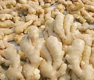 Fresh Ginger thumbnail-1