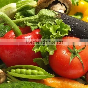 Plastic Food Container Reefer Container Shipping Container Homes for Sale thumbnail-1
