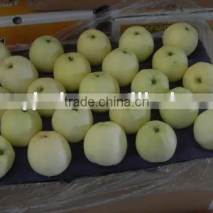 Quality Golden Delicious Apple thumbnail-1