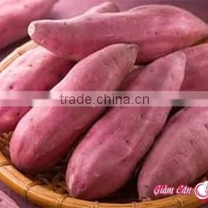 FRESH SWEET POTATO thumbnail-2