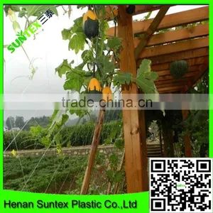 Heavy Duty Long-lasting Flexible Trellis Netting Plant Support Web thumbnail-4