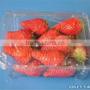 Plastic Clear Strawberry Packaging Box With Lid thumbnail-2