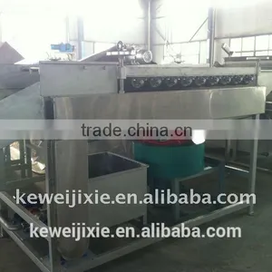 Kiwi Fruit Unhairing Machine/gooseberry Peeling Machine thumbnail-1