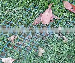 Grass Sod Reinforcement Net for Green Traffic Areas thumbnail-4