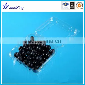 New Plastic Disposable Fruit Salad Container thumbnail-1