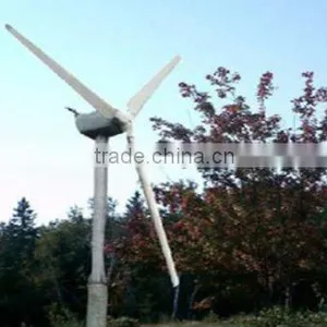 300W Wind Power System thumbnail-1
