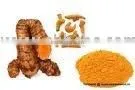Organic Turmeric Oil thumbnail-1