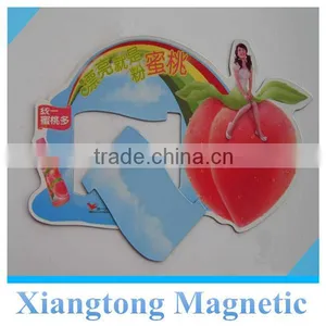 Magnetic Fridge Photo Frames thumbnail-1
