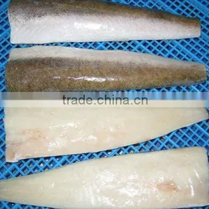 Frozen Pacific Hake Fillet thumbnail-1