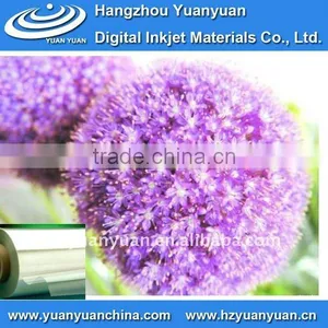 Waterproof Rigid PVC Film thumbnail-1