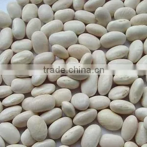 Chinese Medium White Kidney Beans for Sale Quality Choice thumbnail-6