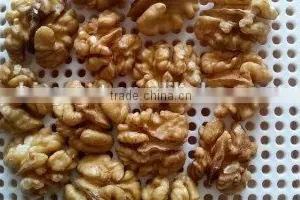 Supply Walnut- Natural Walnut Kernels Light Halves thumbnail-4