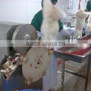 Rabbit Processing Plants thumbnail-6